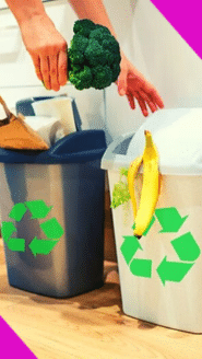 World Environment Day: Keep wet and dry garbage separately