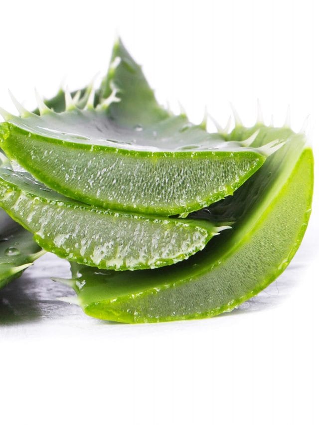 6 Ways to Incorporate Aloe Vera into Your Daily Beauty Routine