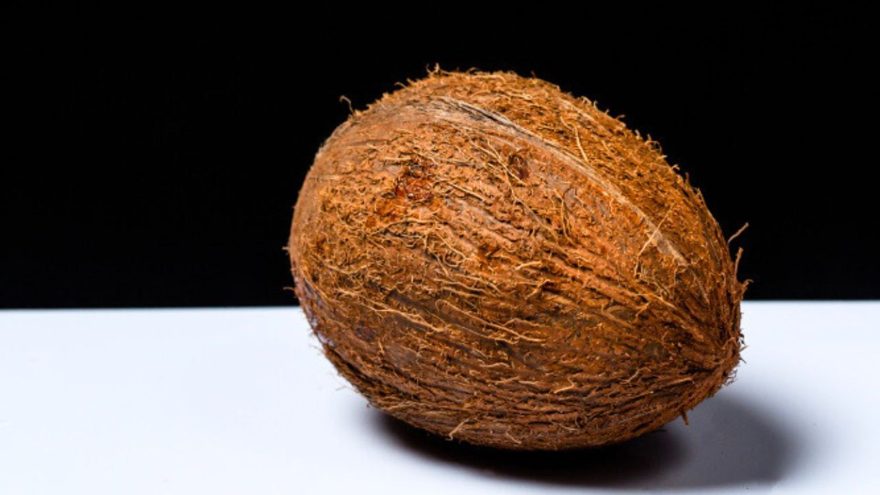 5 Foods That Are Prohibited On Flights Trends9