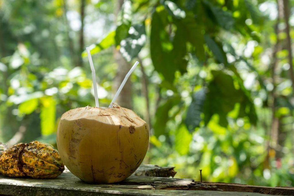Coconut Water