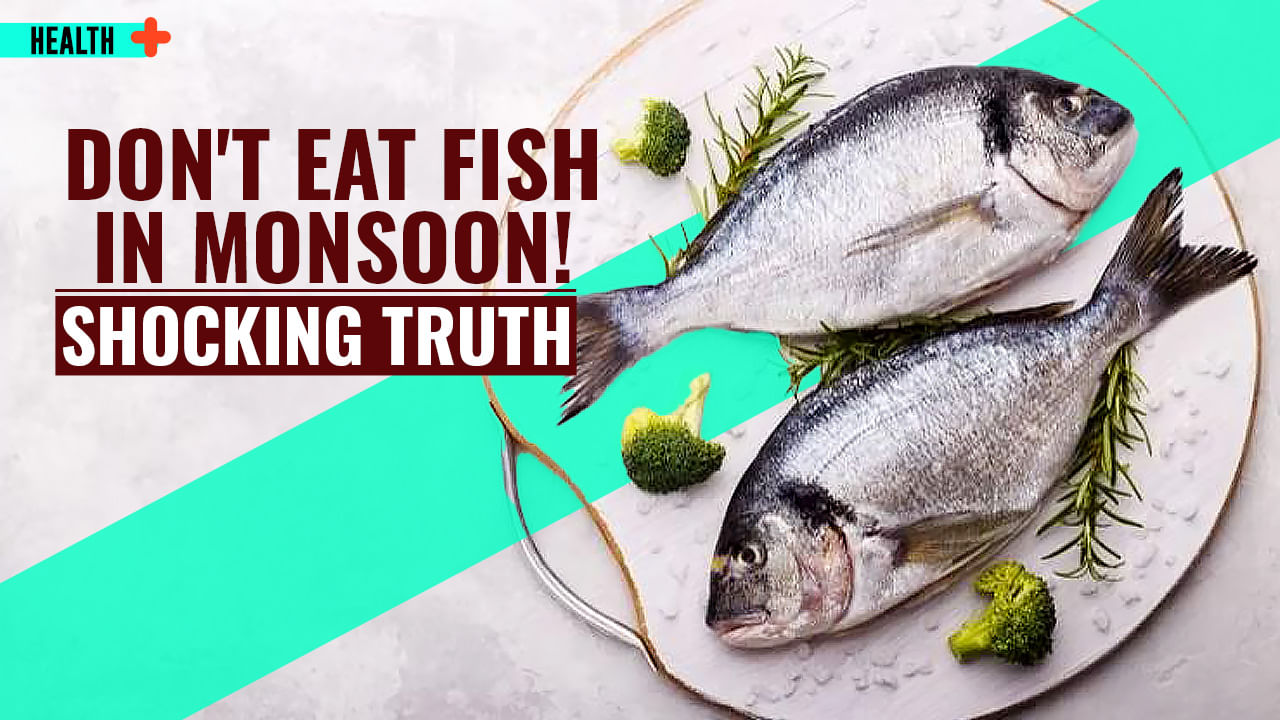 Don't Eat Fish In Monsoon! - Reasons Will Shock You -Watch Video - Trends9
