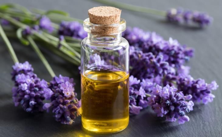 Combine a few drops of grapeseed oil with lavender essential oil, warm it, let it cool down, and then your home-made oil is ready.