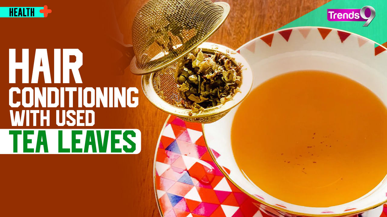 6 Ways To Reuse Tea Leaves & Their Benefits For Your Daily Life Watch Video Trends9