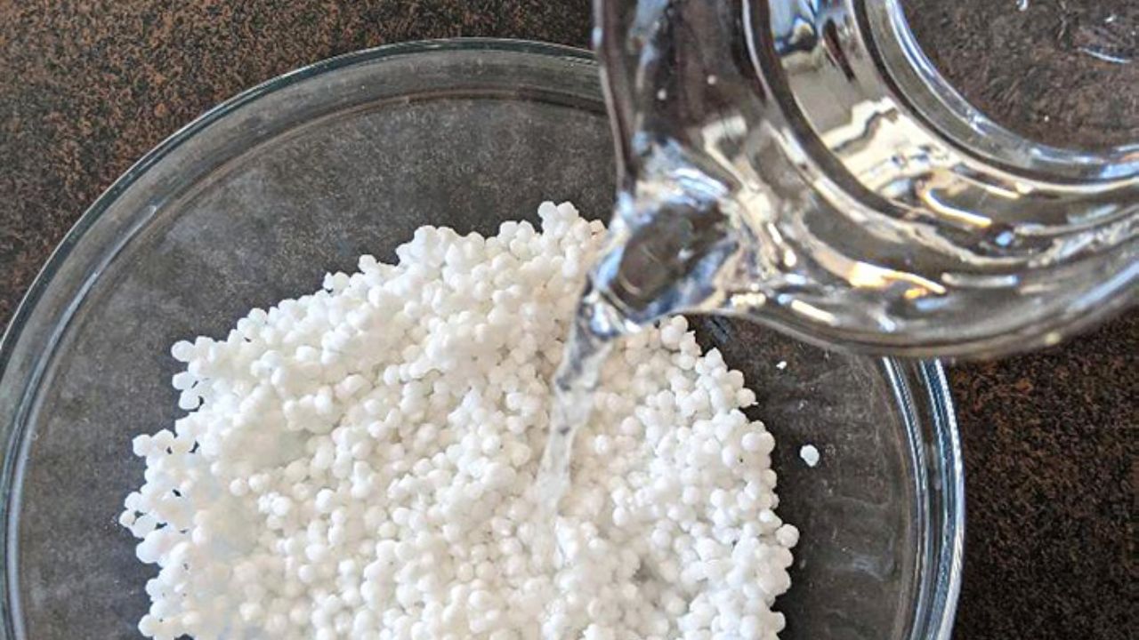 1. Rinse and soak Sabudana: So the first step is to wash the 1 cup of sabudana so that all the dirt can be removed, and then soak them in water for about 4-6 hours so that they become soft.