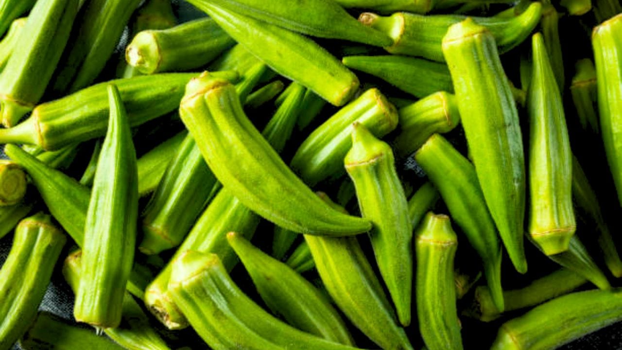 The Nutritional Powerhouse 9 Health Benefits Of Consuming Okra Or Lady Finger In Your Diet Trends9