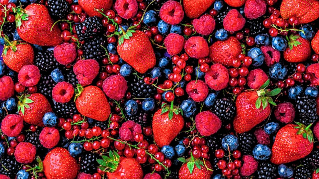 Here Are The Best Foods To Revitalise Your Kidneys Naturally Trends9