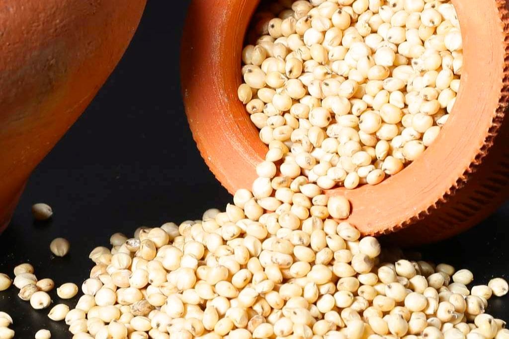 G20 Summit 2023 Checkout The 9 Indian Millets Along With Their