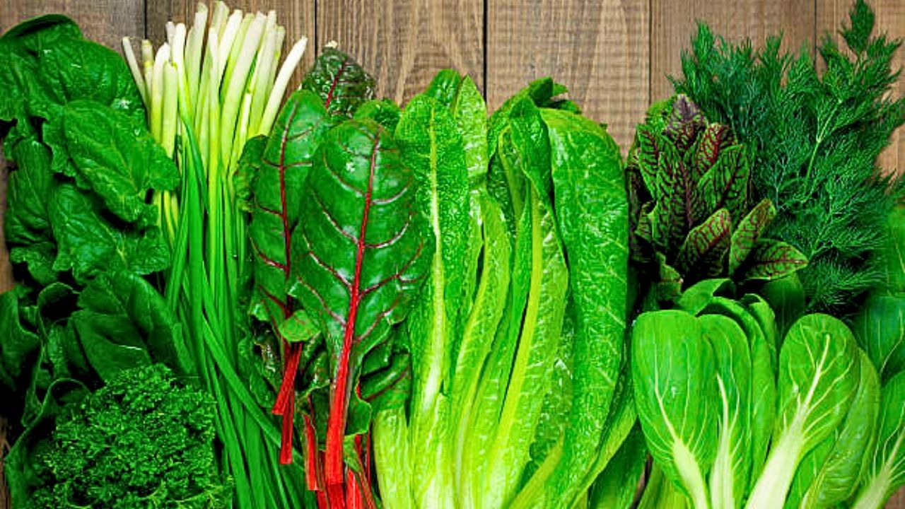 Leafy Greens Vegetables: Iron, calcium as well as folate which are abundant in green vegetables like spinach, kale and collard greens that helps in the generation of red blood cells along with the health of the reproductive system and the maintenance of healthy bones. (Pic credit: iStock)